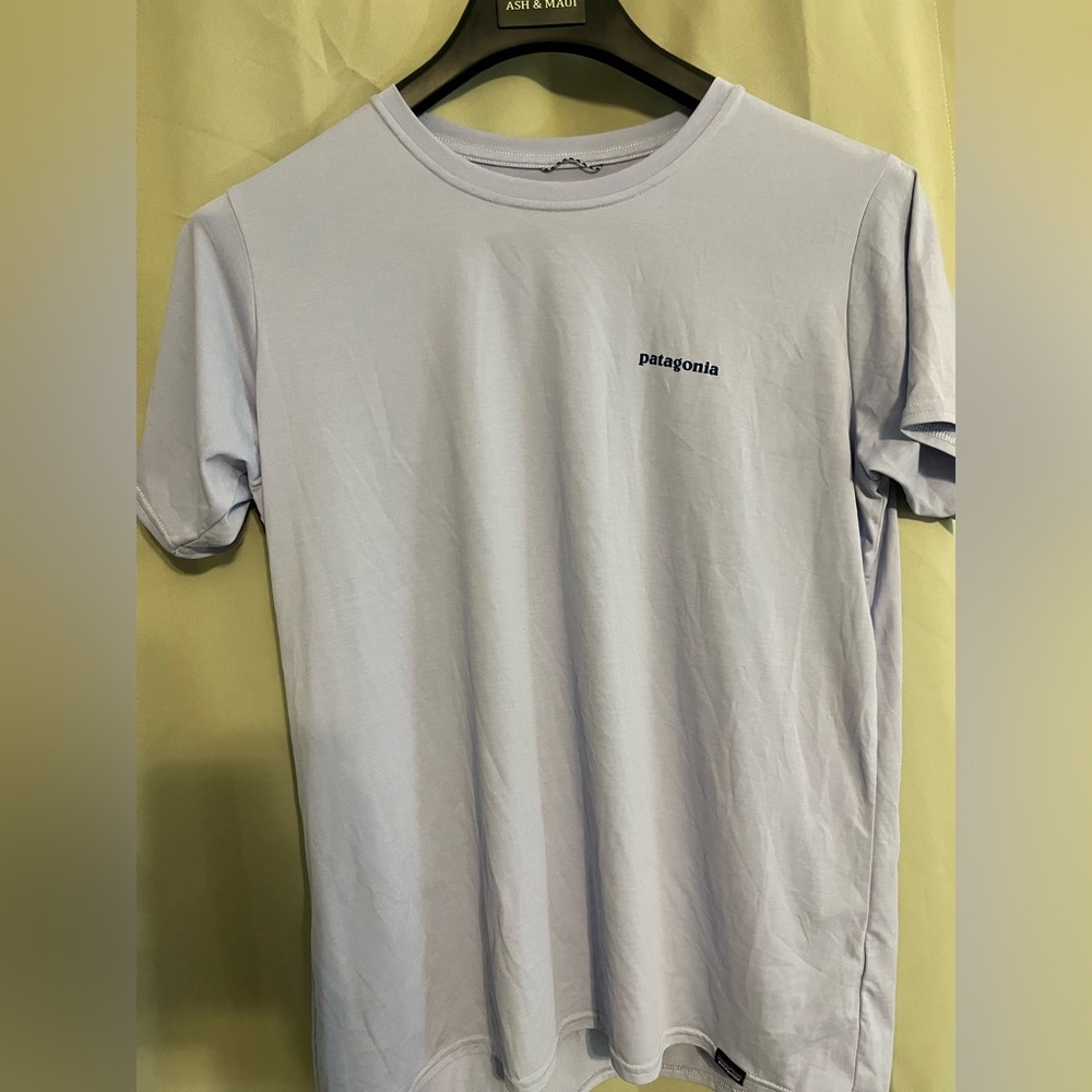 Patagonia tee